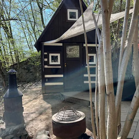 Kralikova * Kaliště