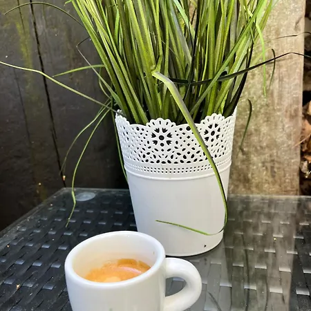 Alpesi faház Kralikova Kaliště