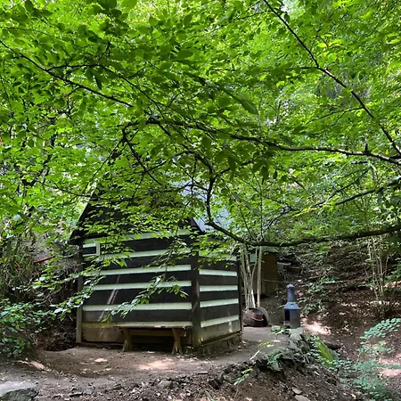 Kralikova * Kaliště