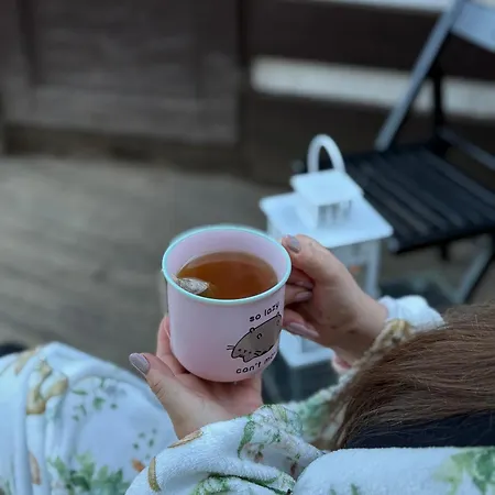 Шале Kralikova