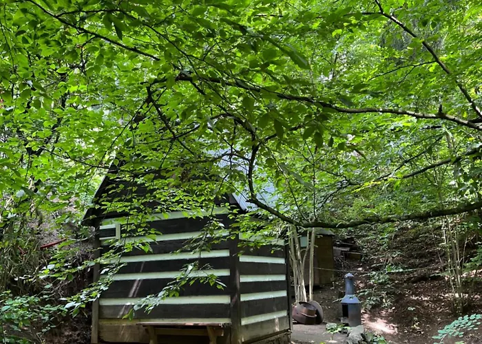 Kralikova * Kaliště