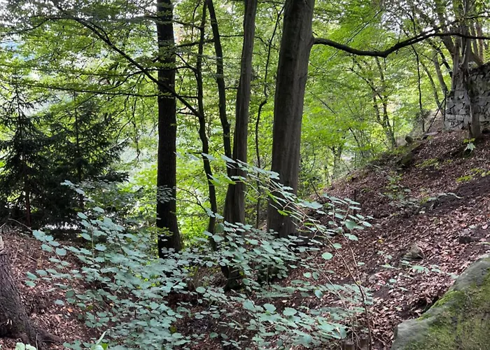 Kralikova Alpesi faház *